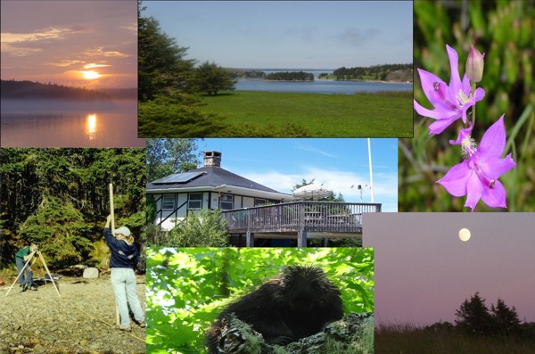 tl_files/sites/ees/Images/Morton centre/mc-collage.jpg tl_files/sites/ees/Images/Morton centre/mc-collage.jpg